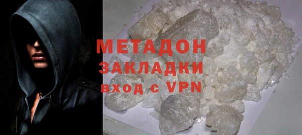 индика Ладушкин