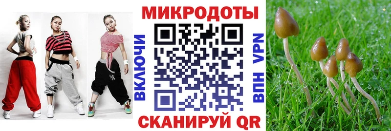 где найти наркотики  Чистополь  omg рабочий сайт  Галлюциногенные грибы ЛСД 